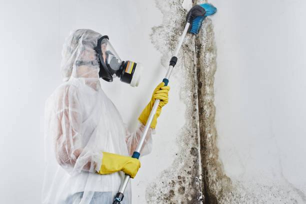 Best Mold Testing  in Genoa City, WI