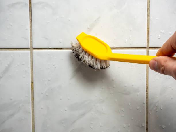 Best Fast Mold Removal  in Genoa City, WI