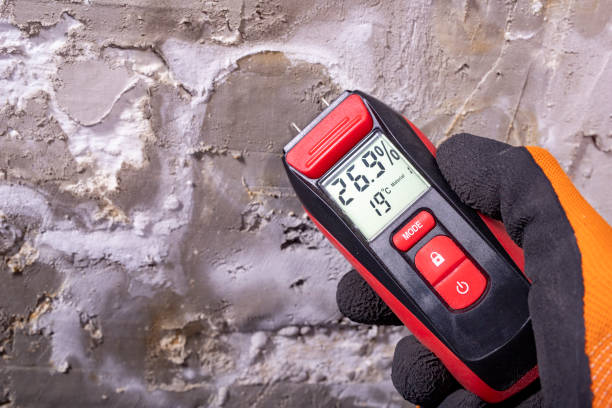 Mold Removal Process in Genoa City, WI