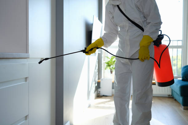 Professional Mold Removal in Genoa City, WI