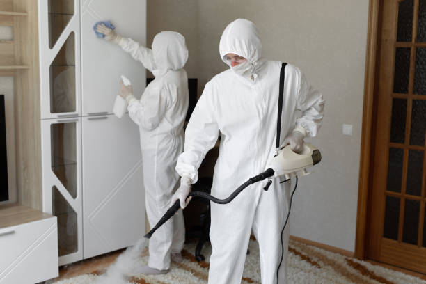 Best Toxic Mold Removal  in Genoa City, WI