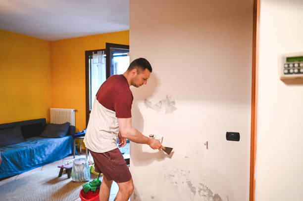 Best Mold Removal Near Me  in Genoa City, WI